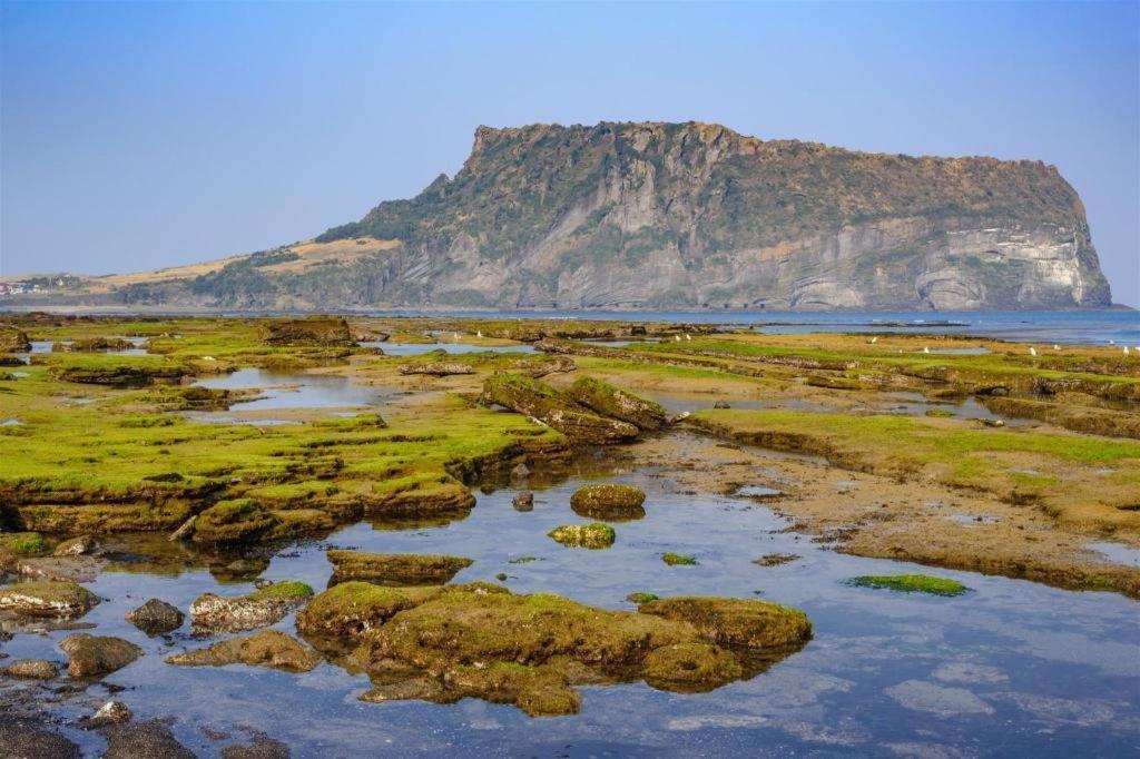 Hotel Aroha Jeju Szogüpho Kültér fotó